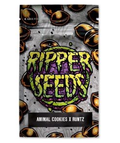 Alternative view of Animal cookies x runtz (3) ripper seeds