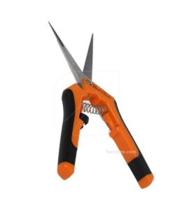 Alternative view of Tijera long blade bud clean